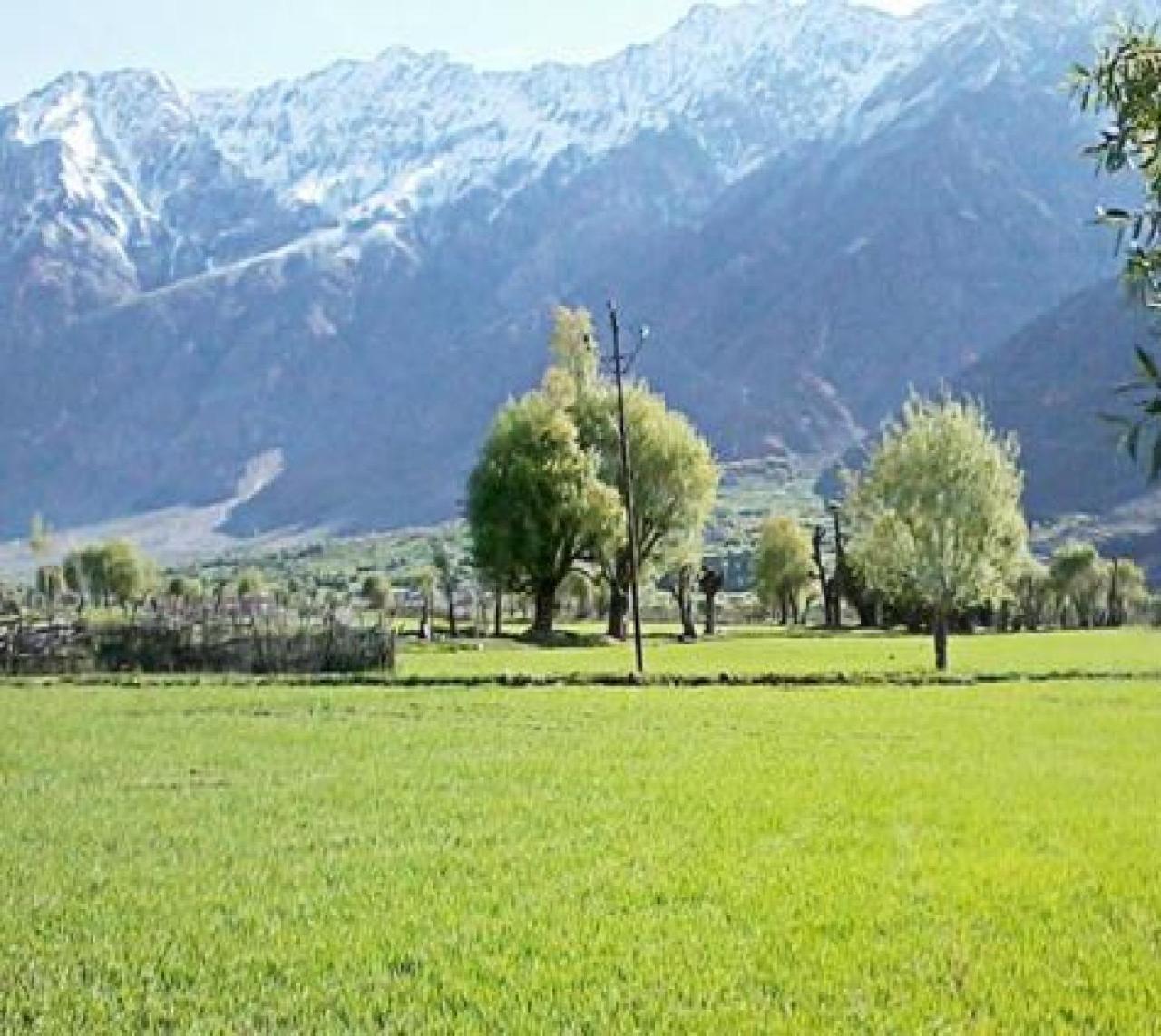Hotel Suru View Kargil Exterior foto